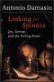 cover of 'Looking for Spinoza: Joy, Sorrow, and the Feeling Brain' by Antonio Damasio